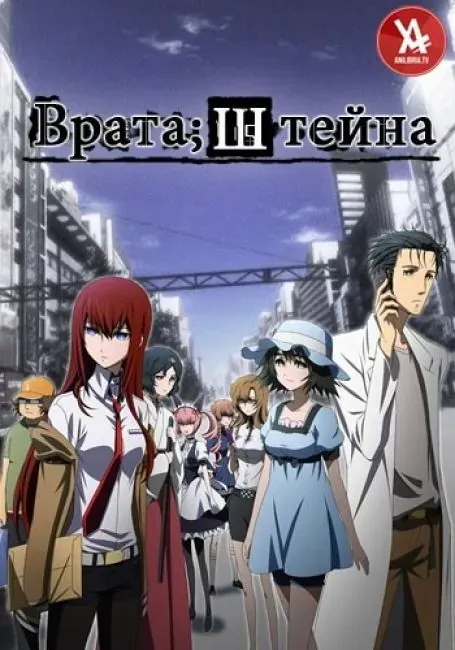 Постер «Врата Штейна»
