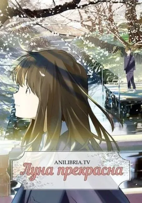 Постер «Луна прекрасна»